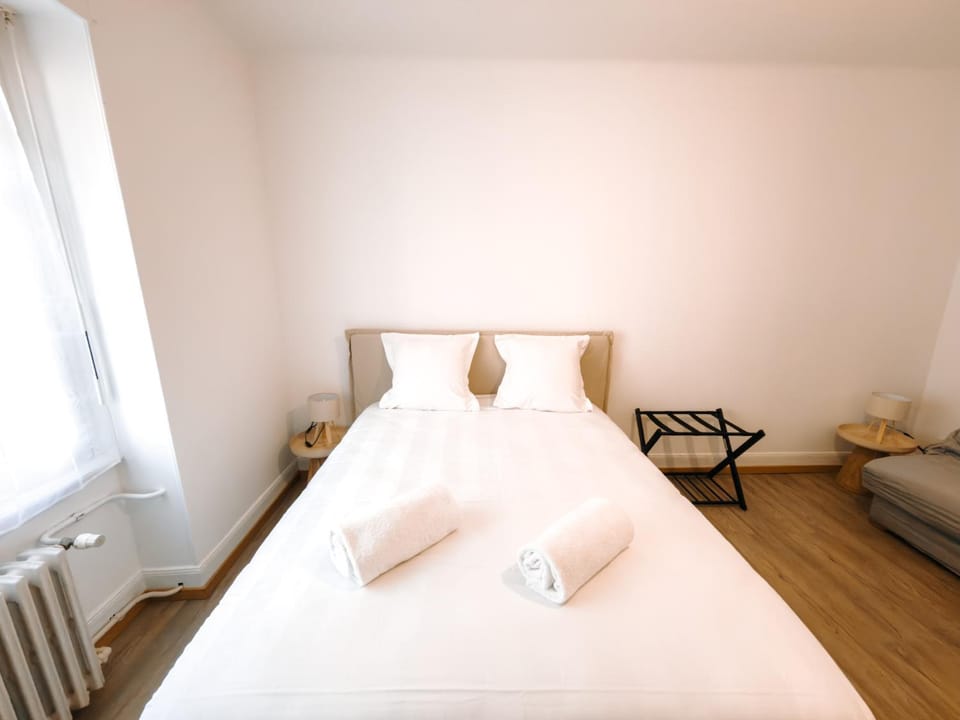 Appartement Hyper Centre Moderne - French Luxury Apartment in Mulhouse