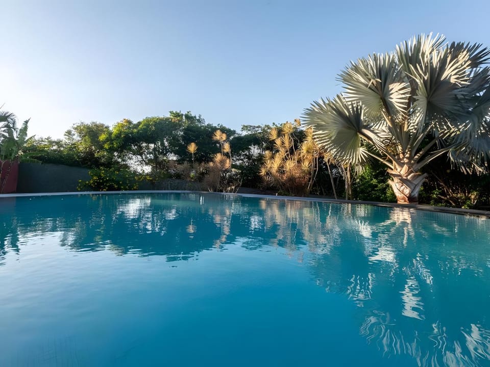 Day, Pool view, Swimming pool