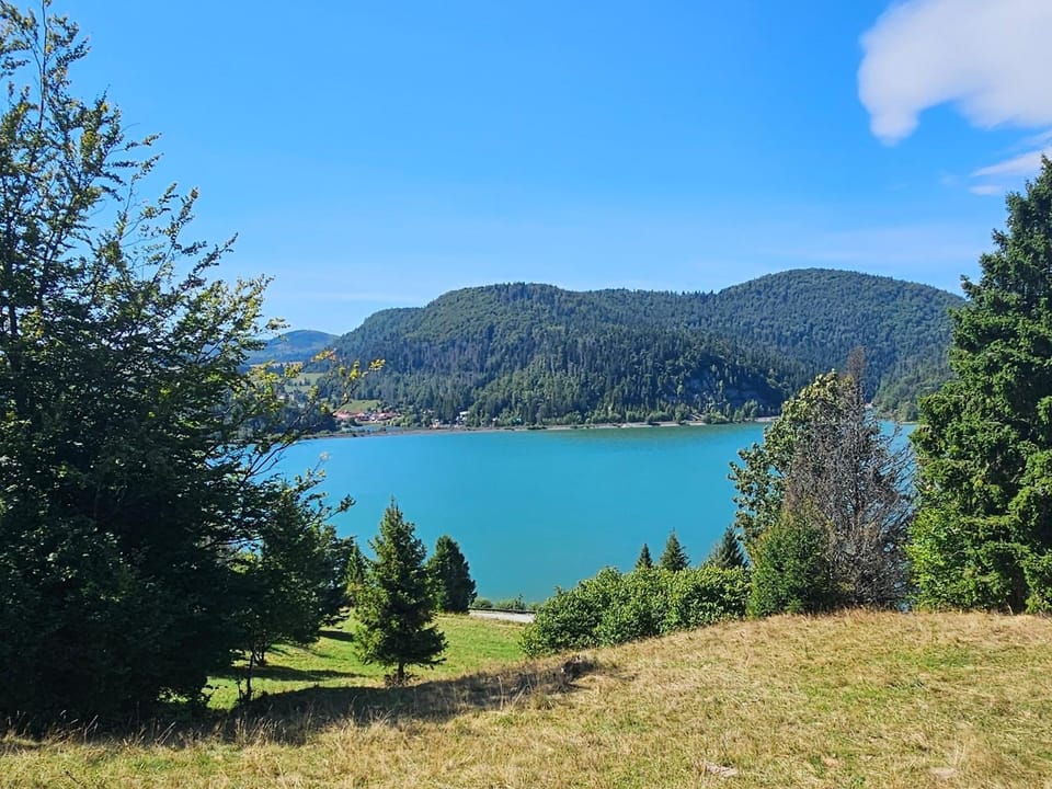 Lake view