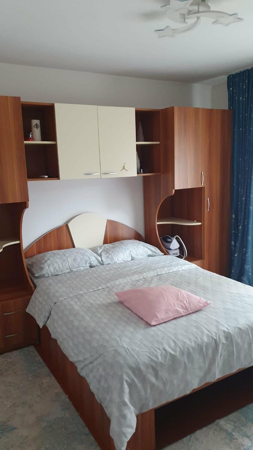 Natalia -Lucian Home Apartment in Romania