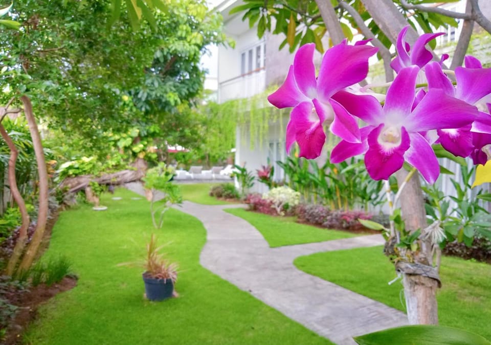 Garden, Garden view