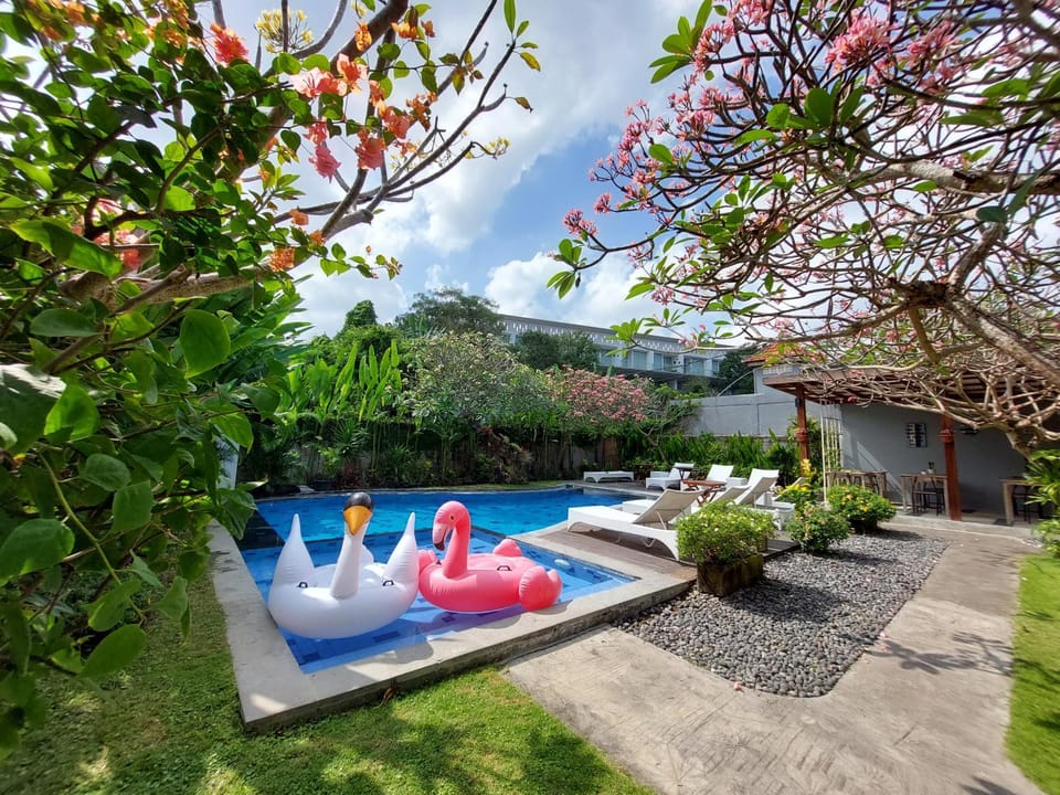 Day, Pool view, Swimming pool