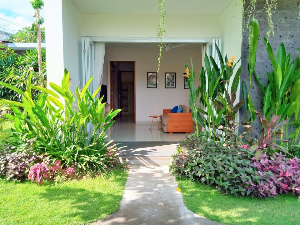 Property building, Garden, Garden view