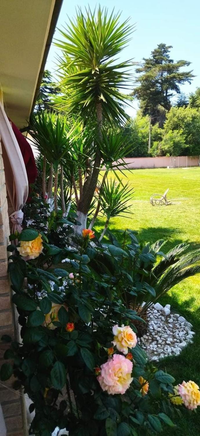 La Tenuta del Passero Bed and Breakfast in Nettuno