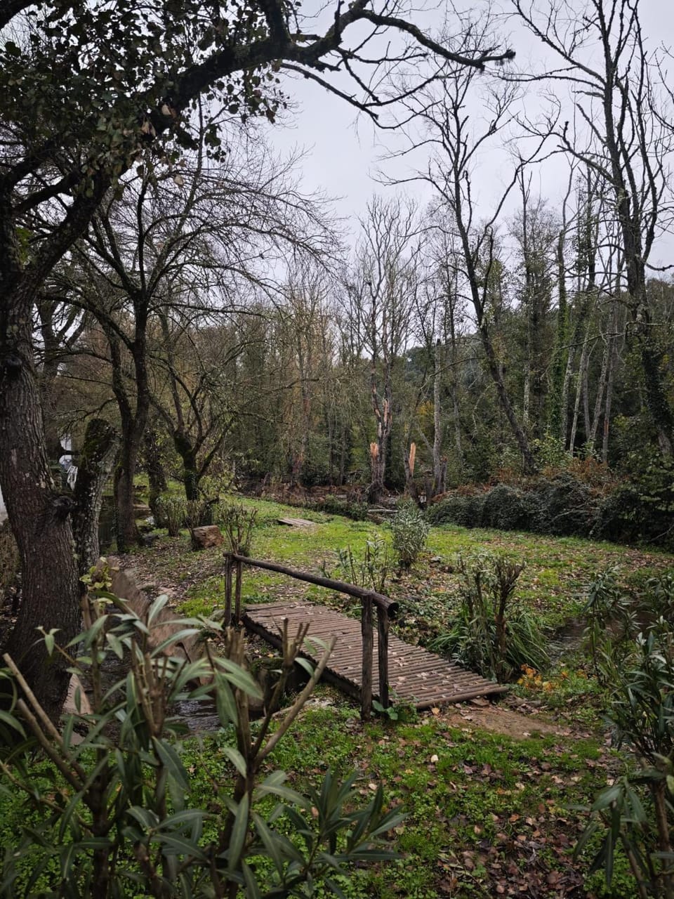 El Andén del Hueznar House in Sierra Norte de Sevilla