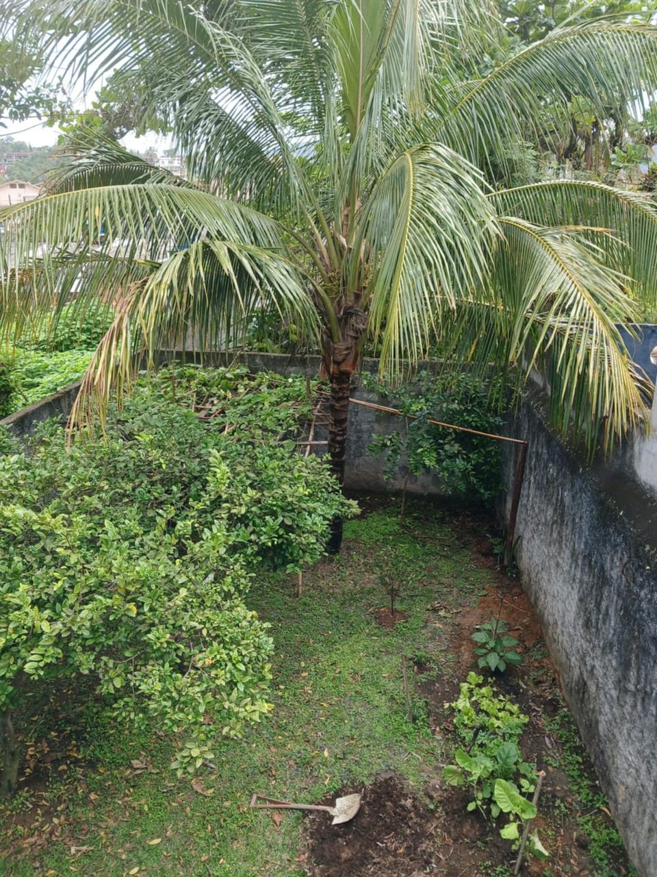Pé na areia Massaguaçu House in Caraguatatuba
