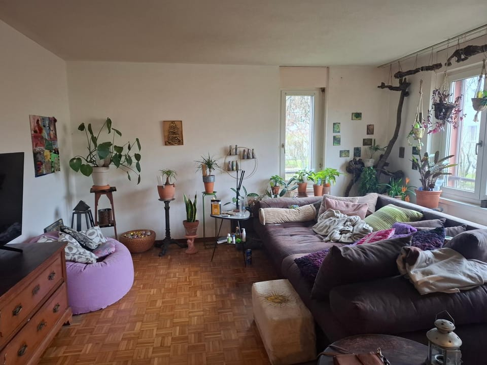 Mos paradise Apartment in Zurich City