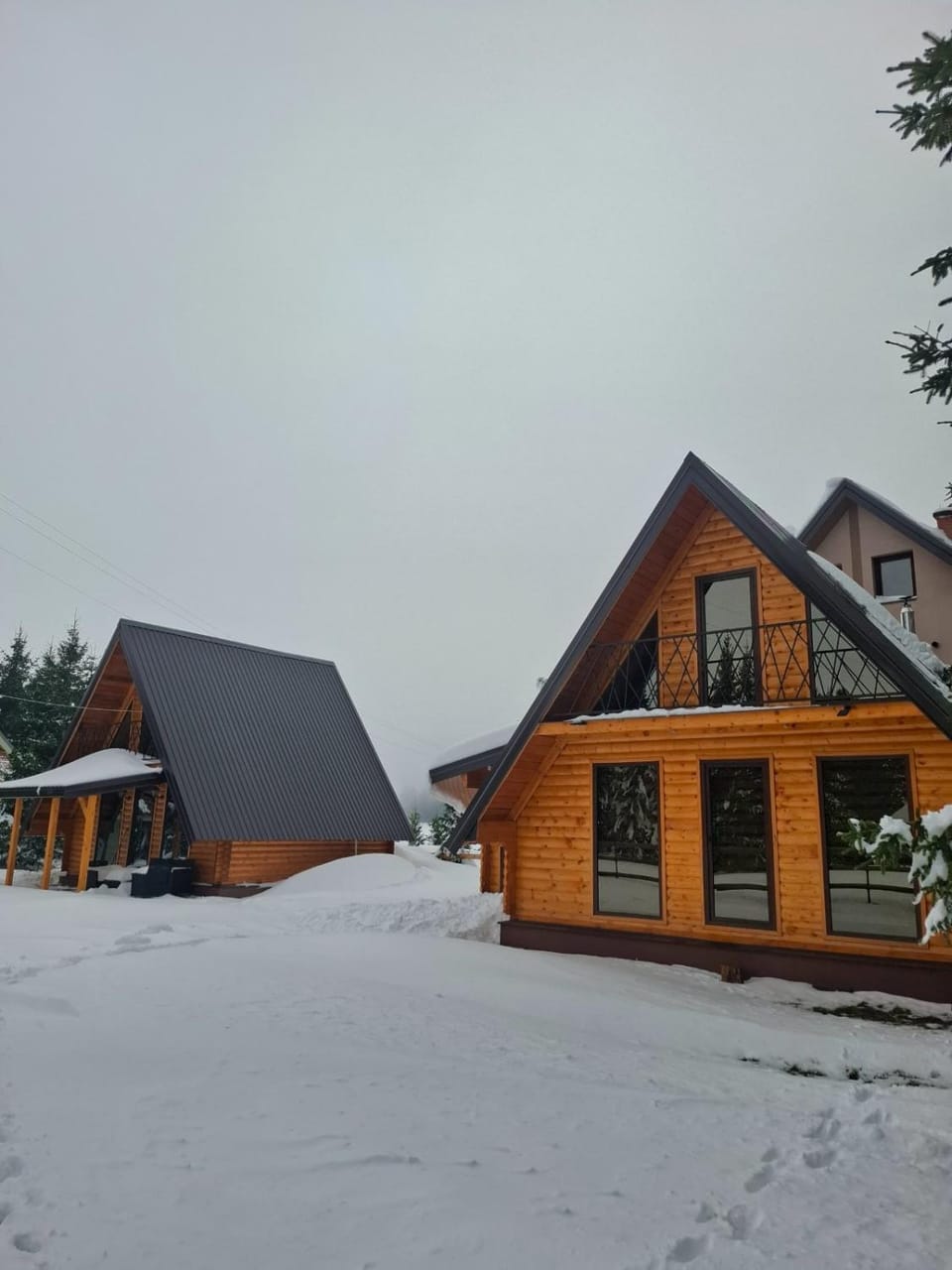 Evergreen cabins Golija Cabin in Serbia
