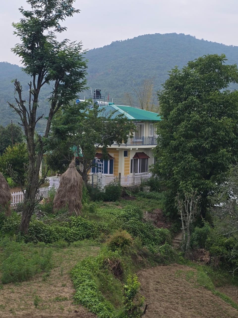 Natural landscape