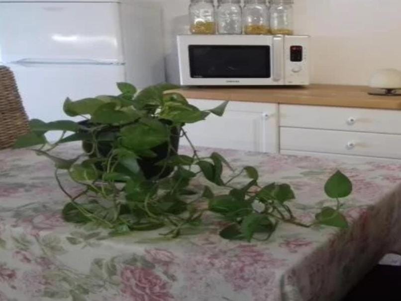 La Roseraie Bed and Breakfast in Campania