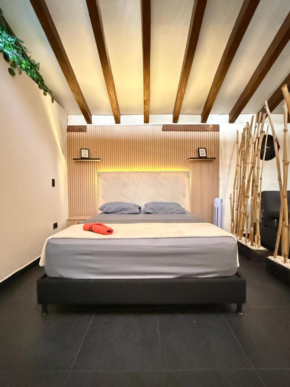 Bed, Photo of the whole room, Bedroom