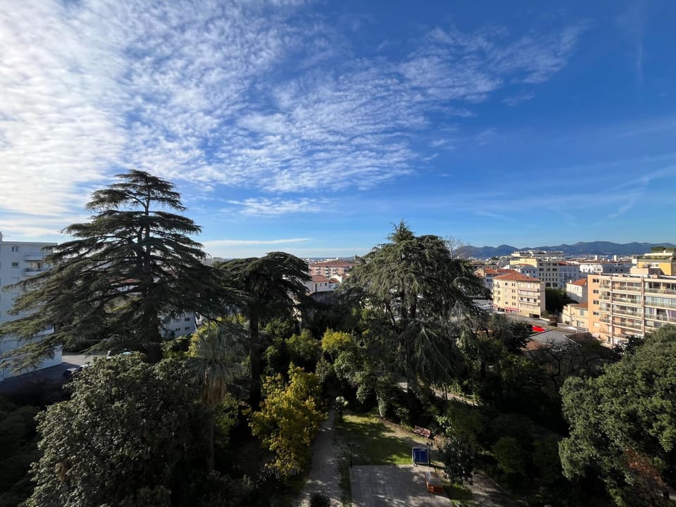 Garden view