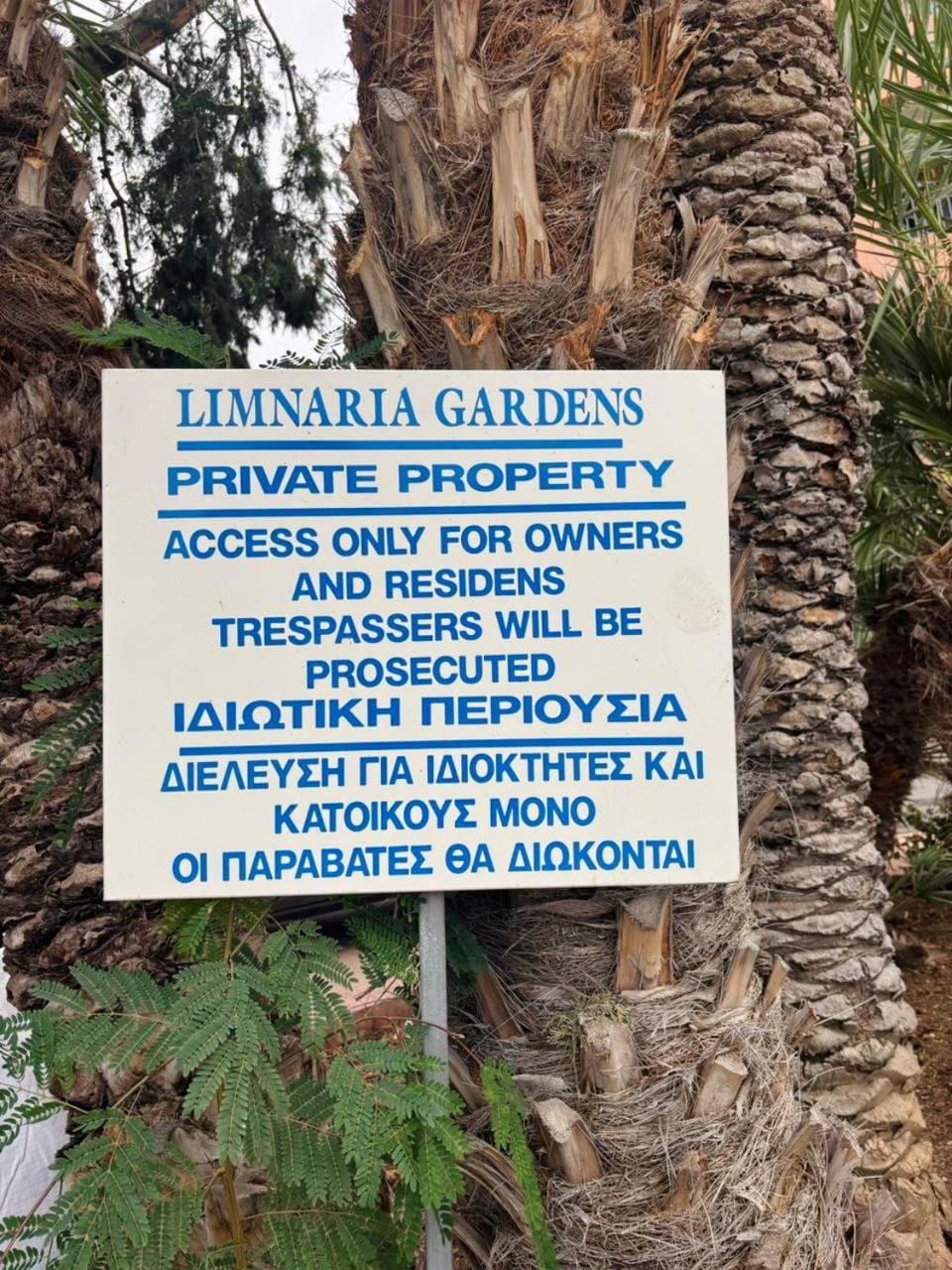 Garden view