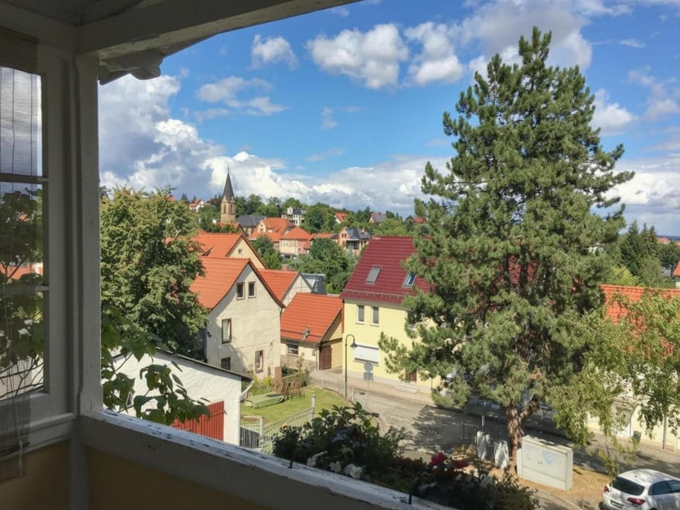 Summer, View (from property/room)
