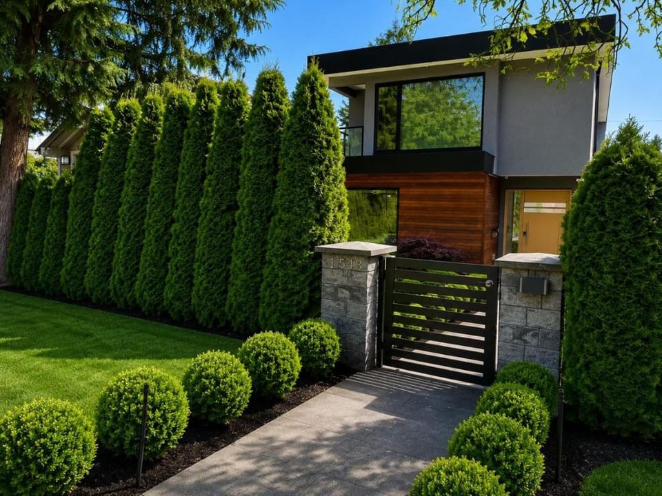 Property building
