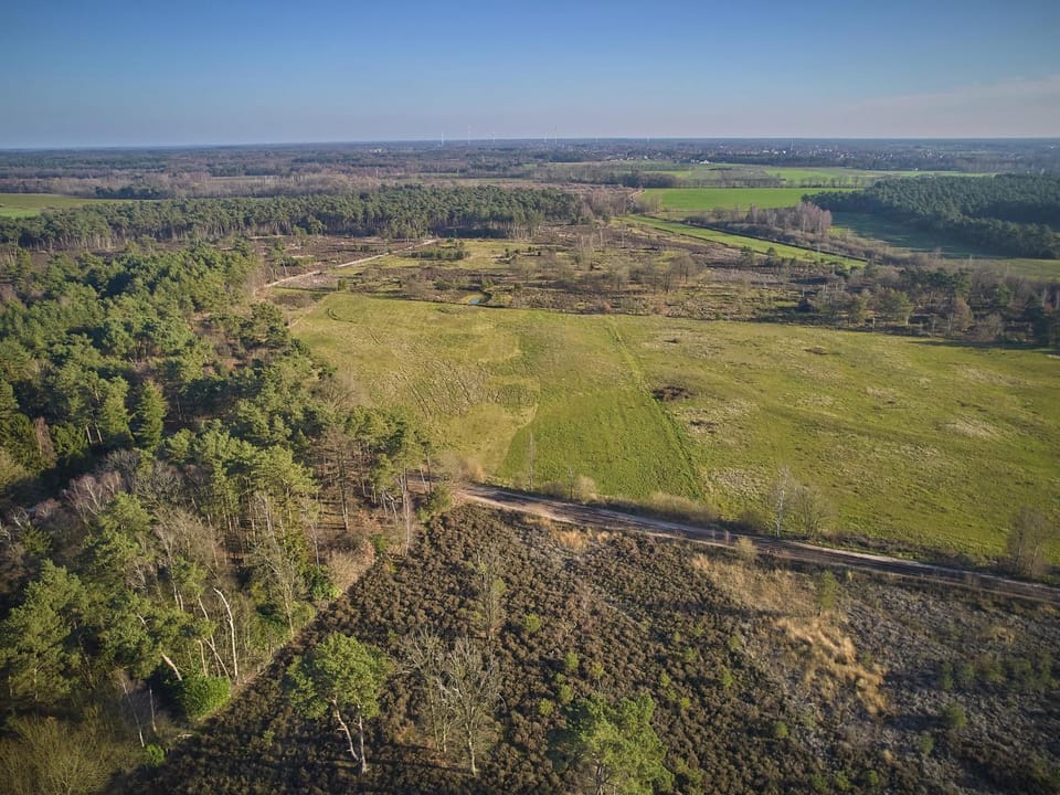 Summer, Area and facilities