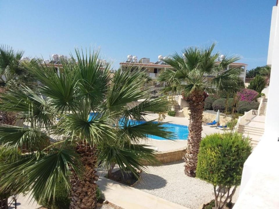 Garden, Garden view, Pool view, Swimming pool, sunbed