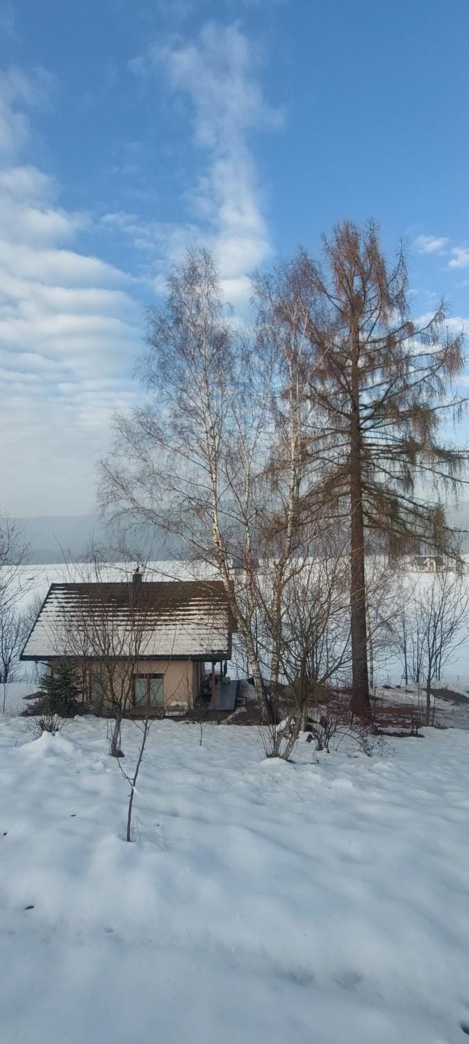 Natural landscape, Winter