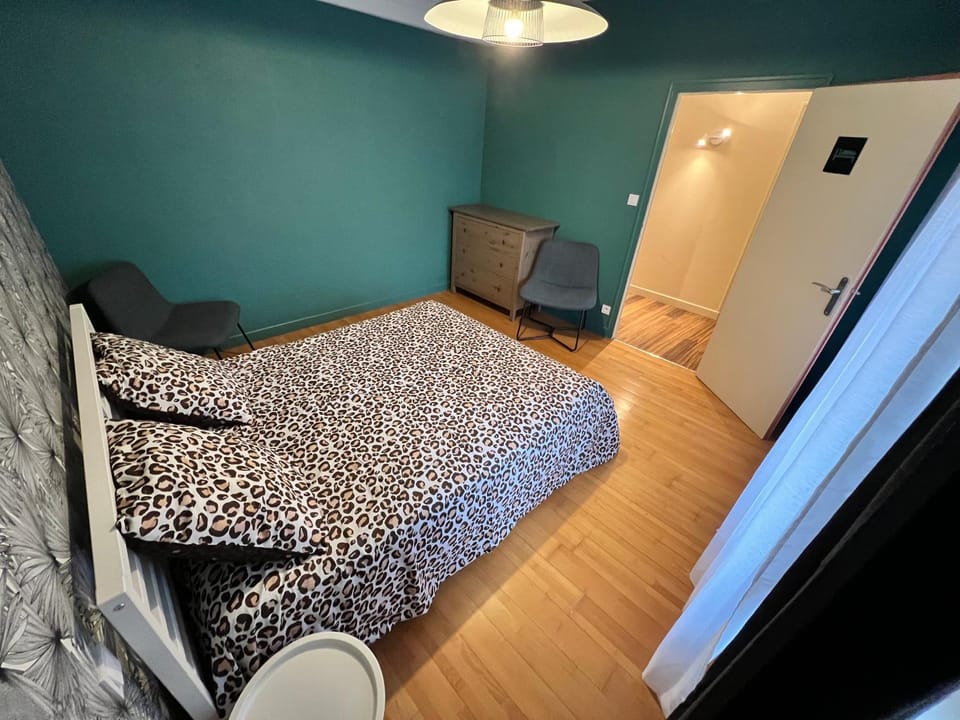 Le Cocon Commerçien Apartment in Grand Est