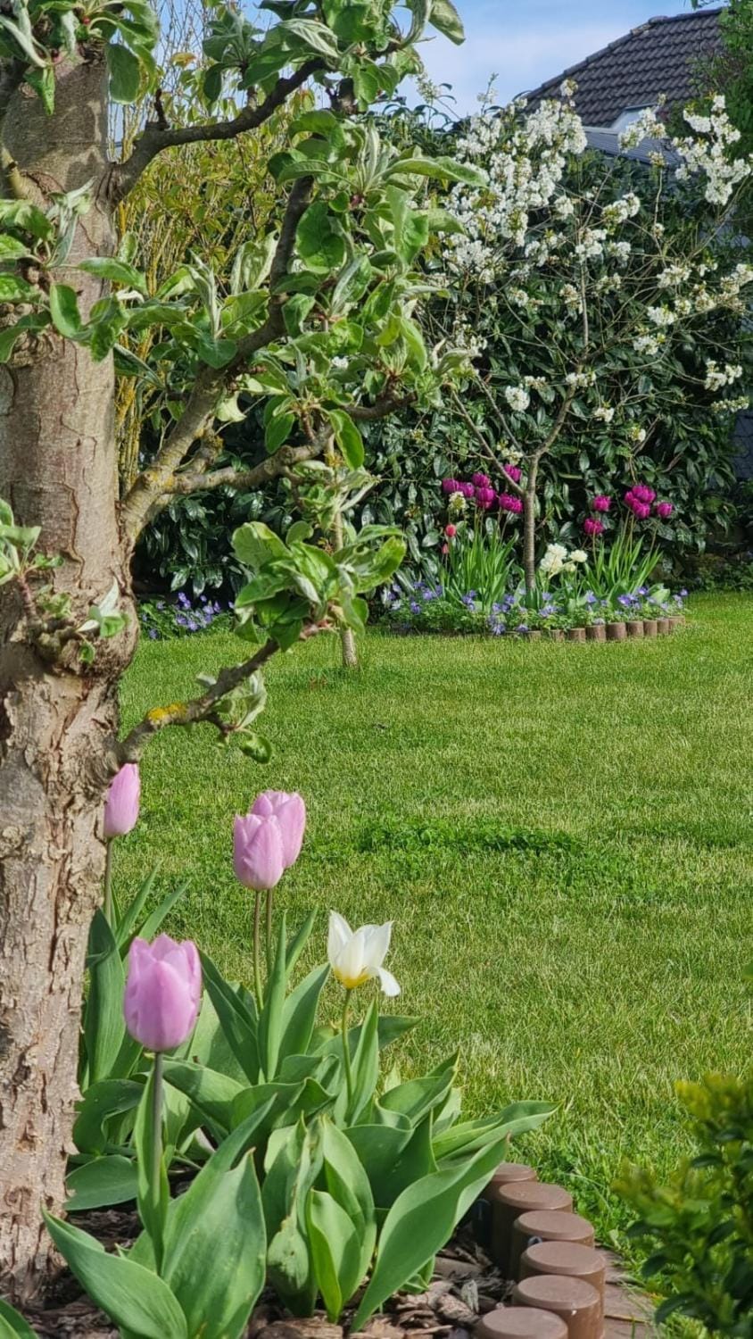 Spring, Garden, Garden view