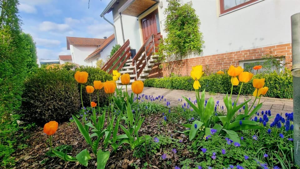 Property building, Spring, Garden, Garden view