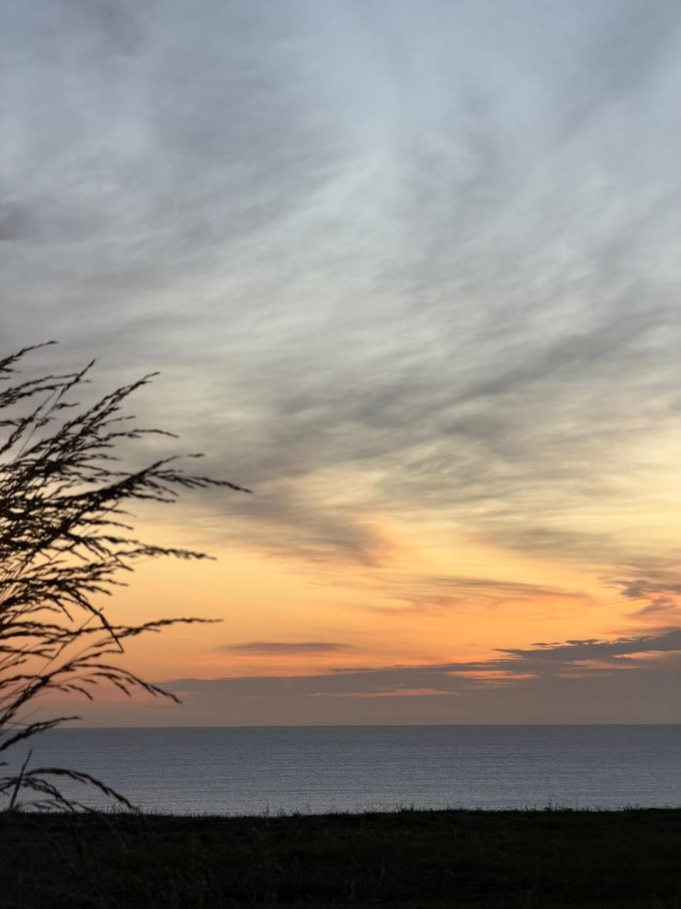 Natural landscape