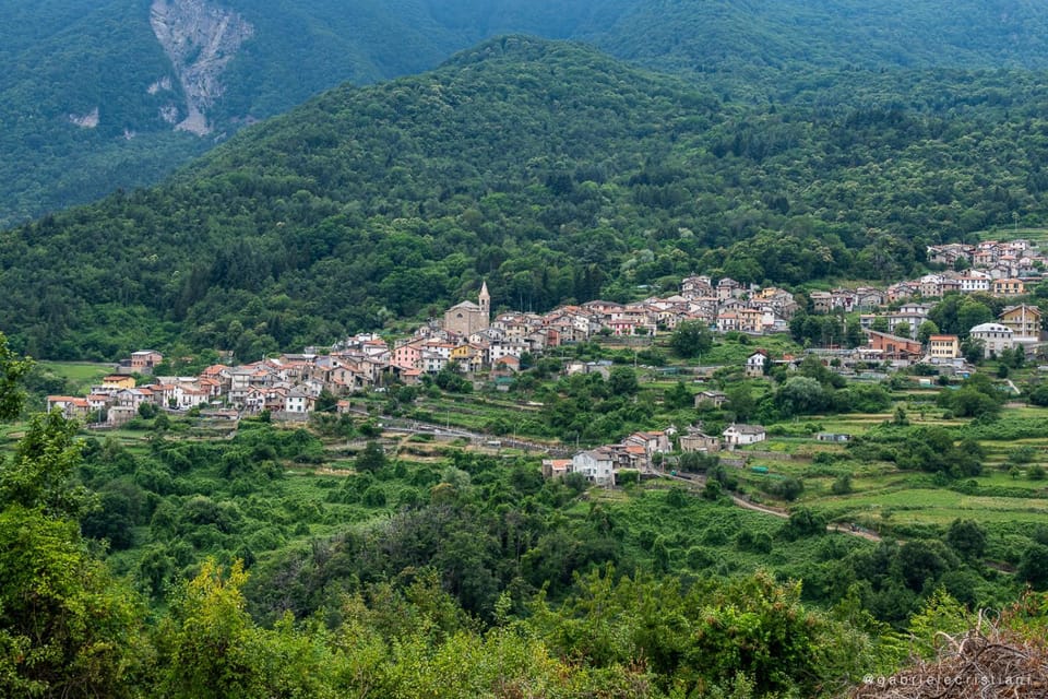 Natural landscape