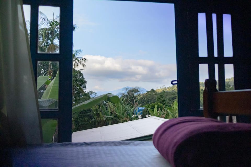 Bed, Day, Natural landscape, View (from property/room), Bedroom, Garden view, Mountain view, River view, River view