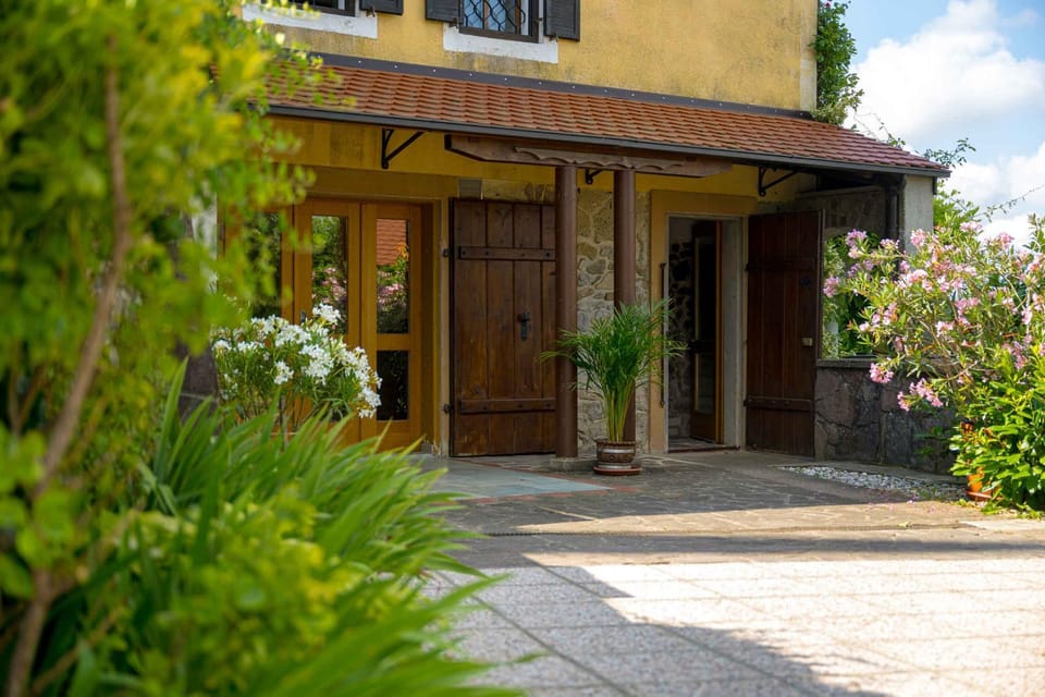 Property building, Summer