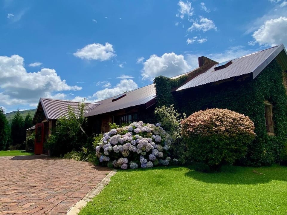 Property building, Garden, Garden view