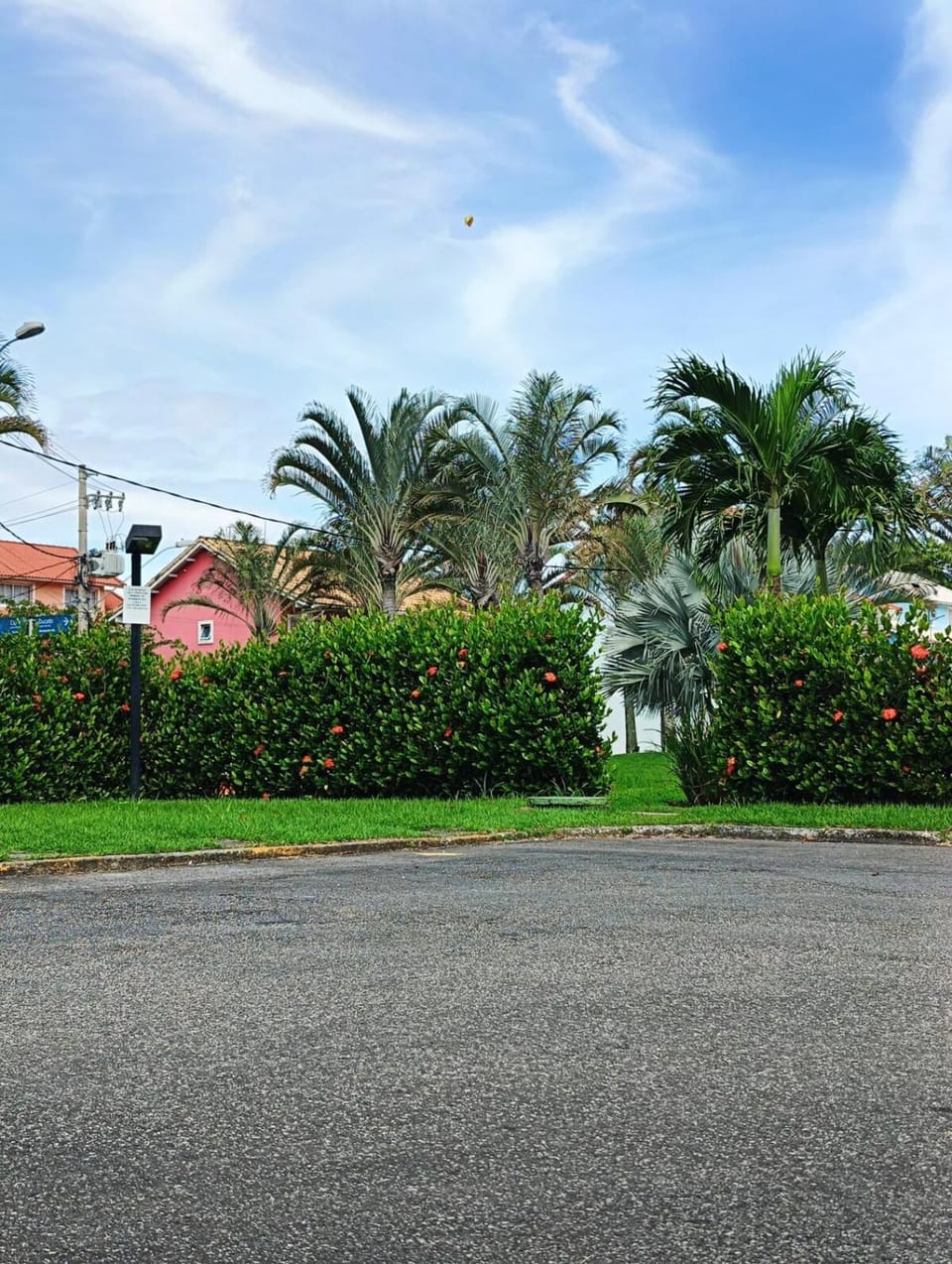 Garden, Garden view