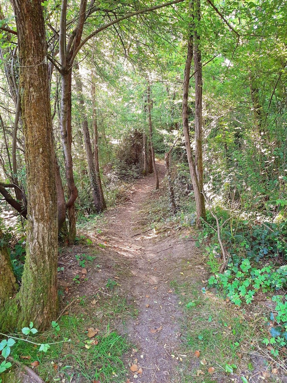 Spring, Hiking