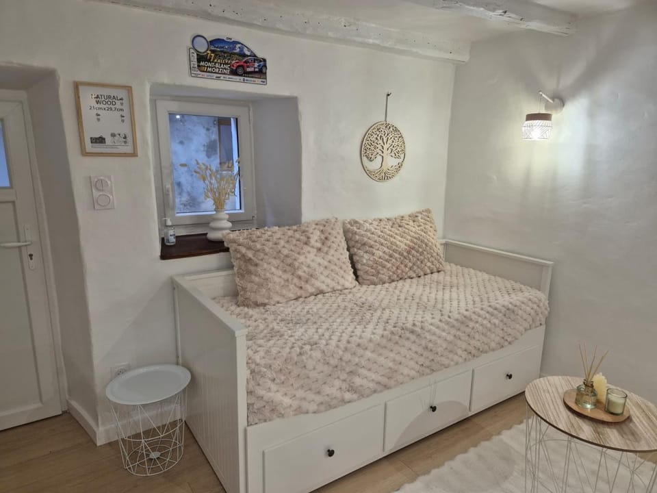 Charmant T2 en centre historique de Morzine avec WiFi - FR-1-679-23 Apartment in Montriond