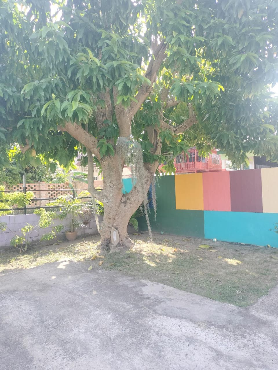 Garden, Garden, Garden view
