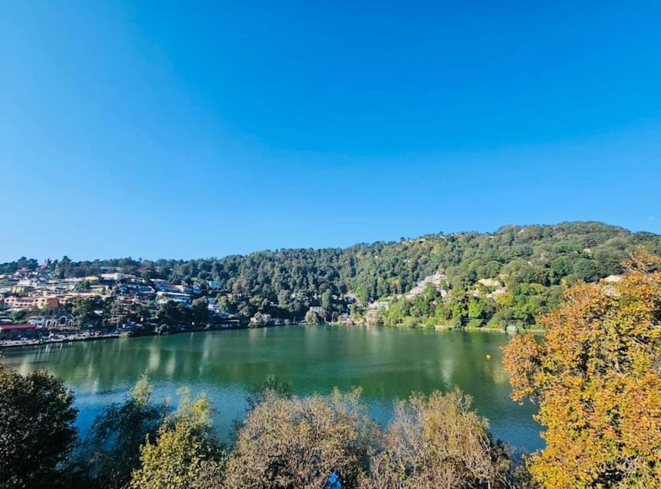 Lake view