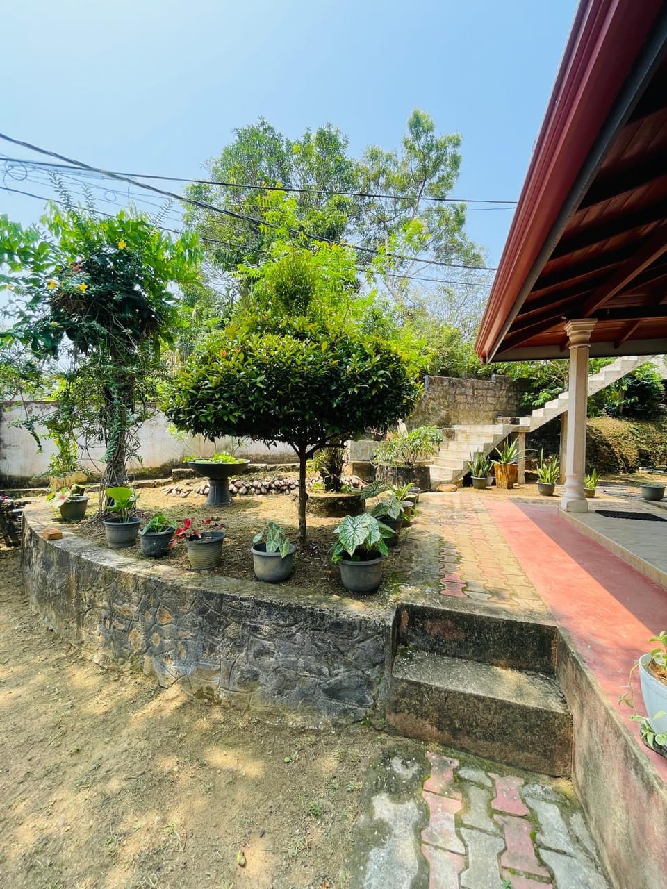 Day, Garden, Garden view