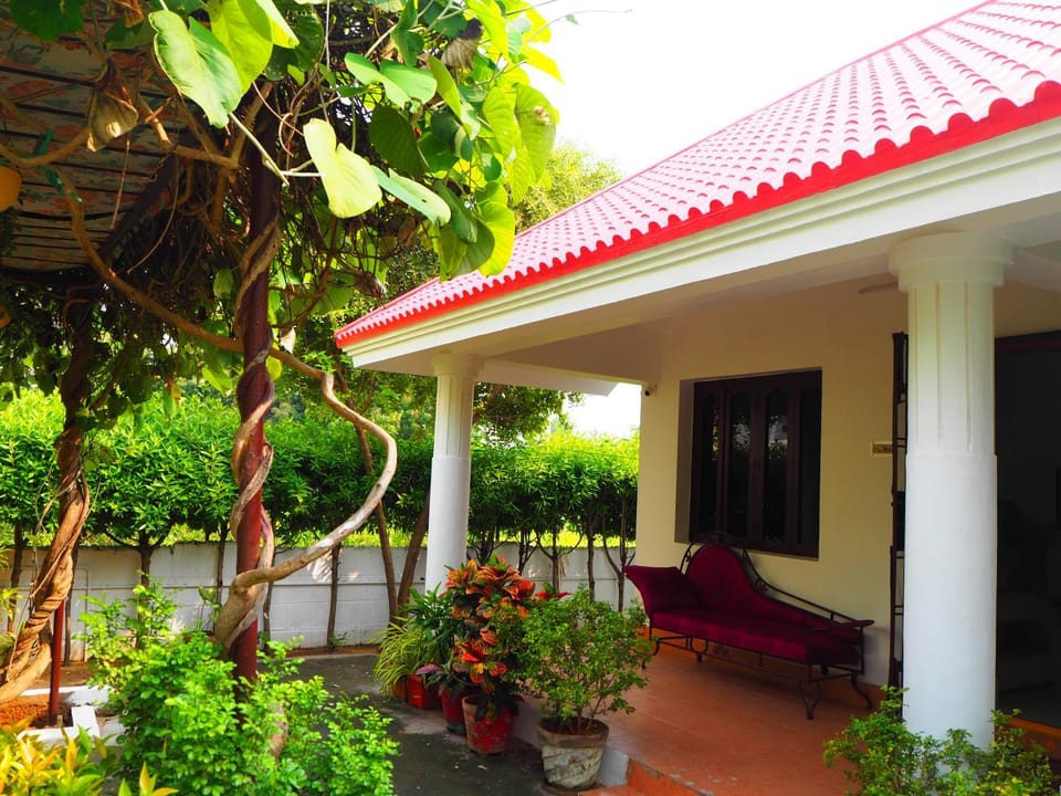 Property building, Garden, Garden view