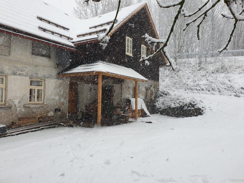 Property building, Day, Winter, Garden