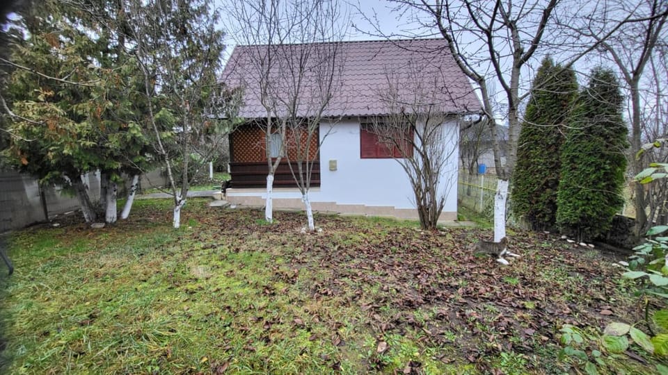 Lady M Villa in Prahova, Romania
