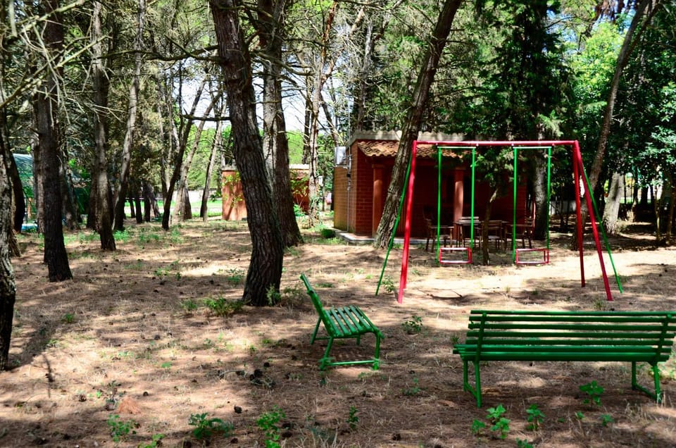 Children play ground