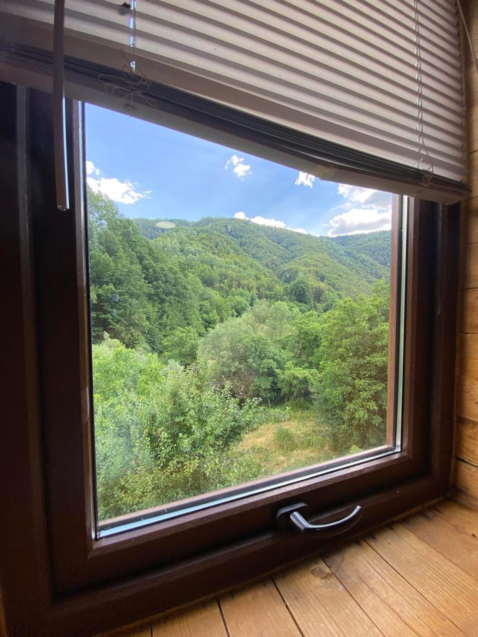 Planinska Idila Apartment in Serbia