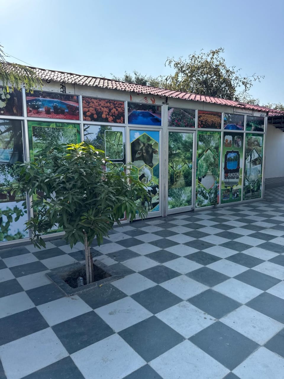 sukoon natural farm Farm Stay in Rajasthan