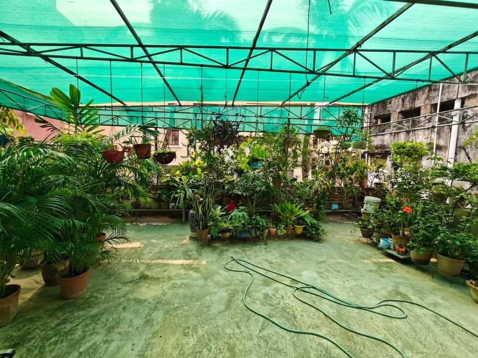Garden view