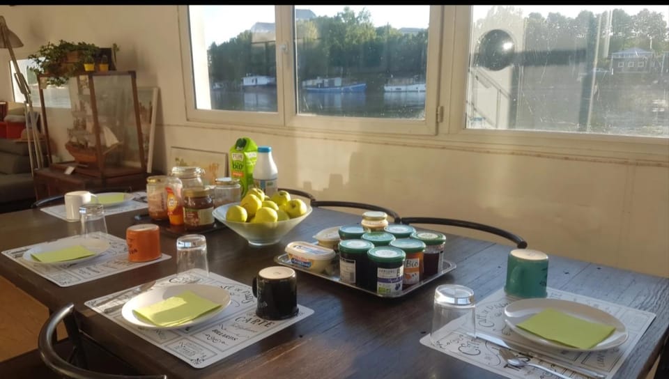 Bed and breakfast Megalight2 Docked boat in Saint-Cloud