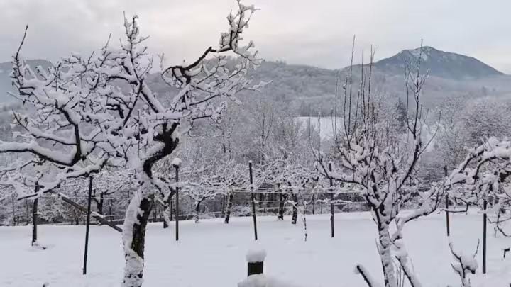 Natural landscape, Winter, Mountain view