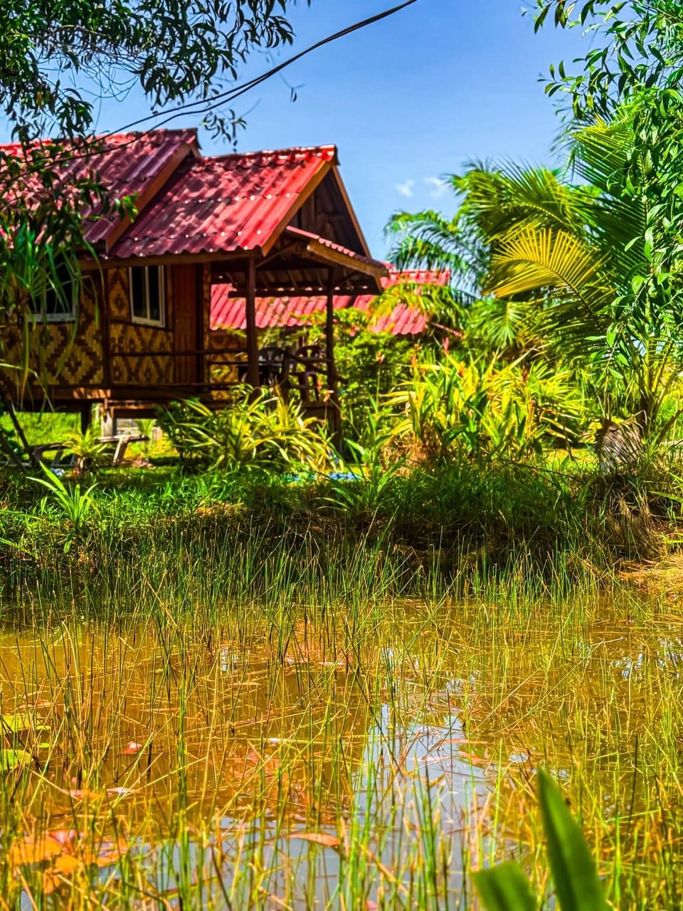 Pepee mini cafe ปีปีมินิ คาเฟ่ &โฮมสเตย์ Vacation rental in Krabi Changwat