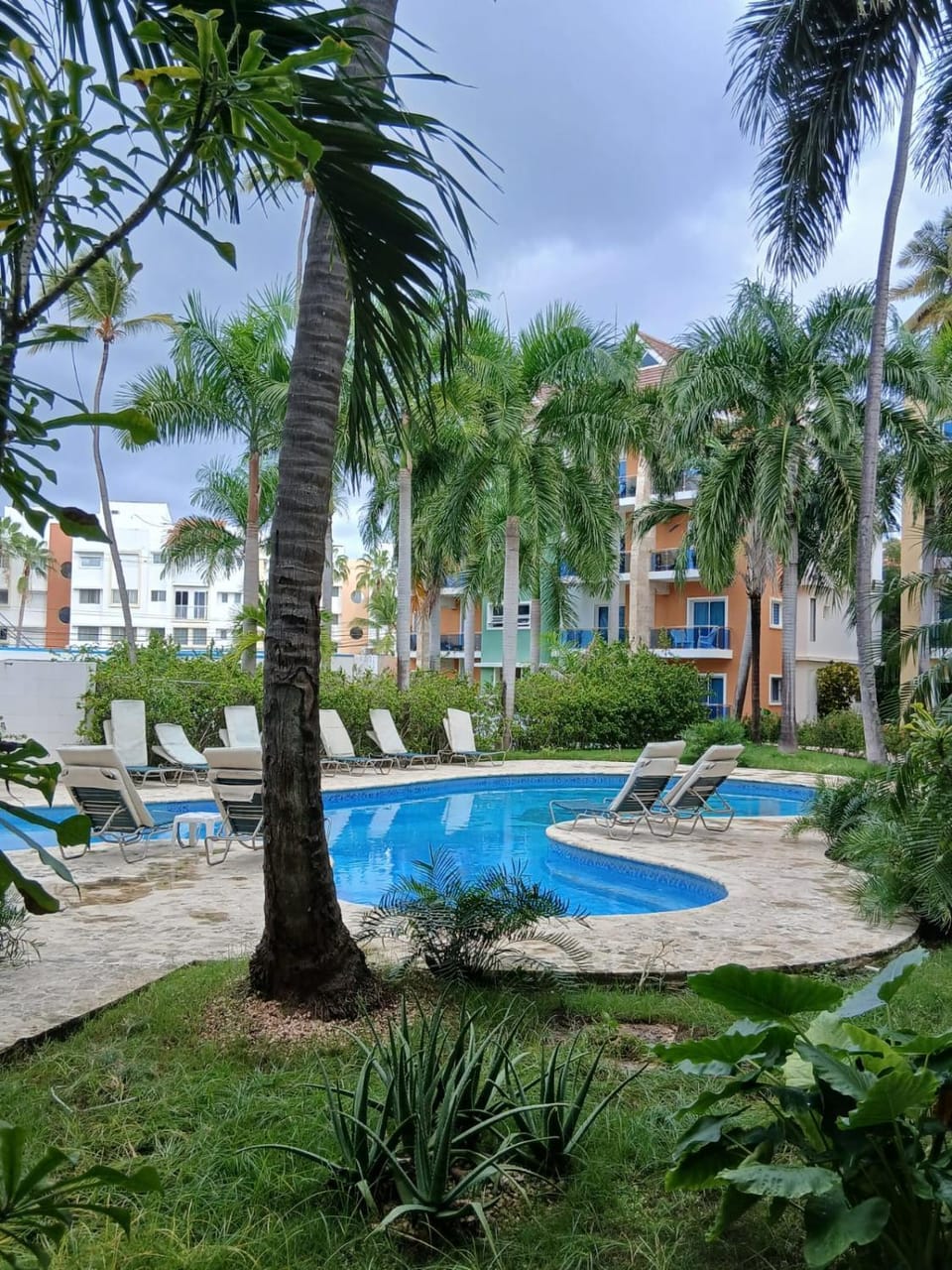 Garden view