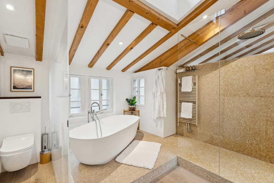 Old Town Diamond Penthouse AC Private Rooftop Apartment in Zurich City