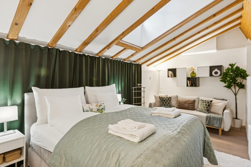 Old Town Diamond Penthouse AC Private Rooftop Apartment in Zurich City