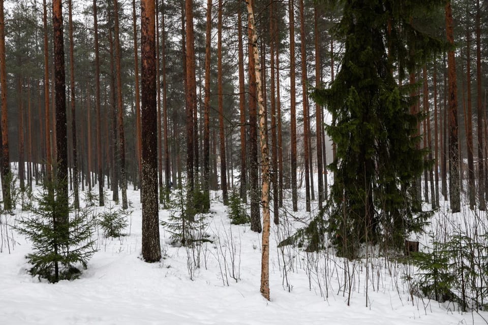 Property building, Natural landscape